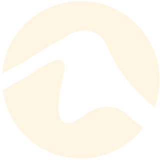 Logo Icon